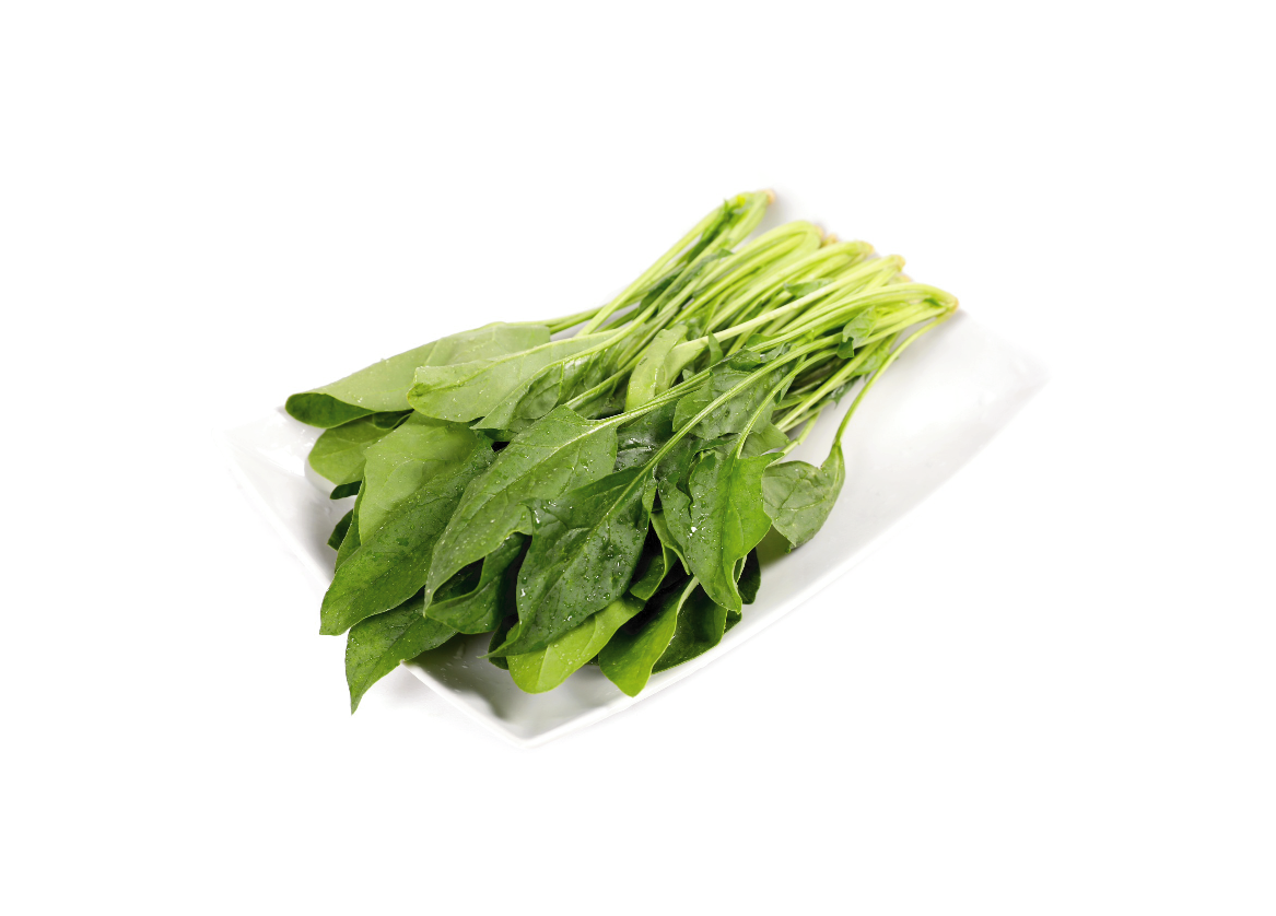 有機(jī)菠菜