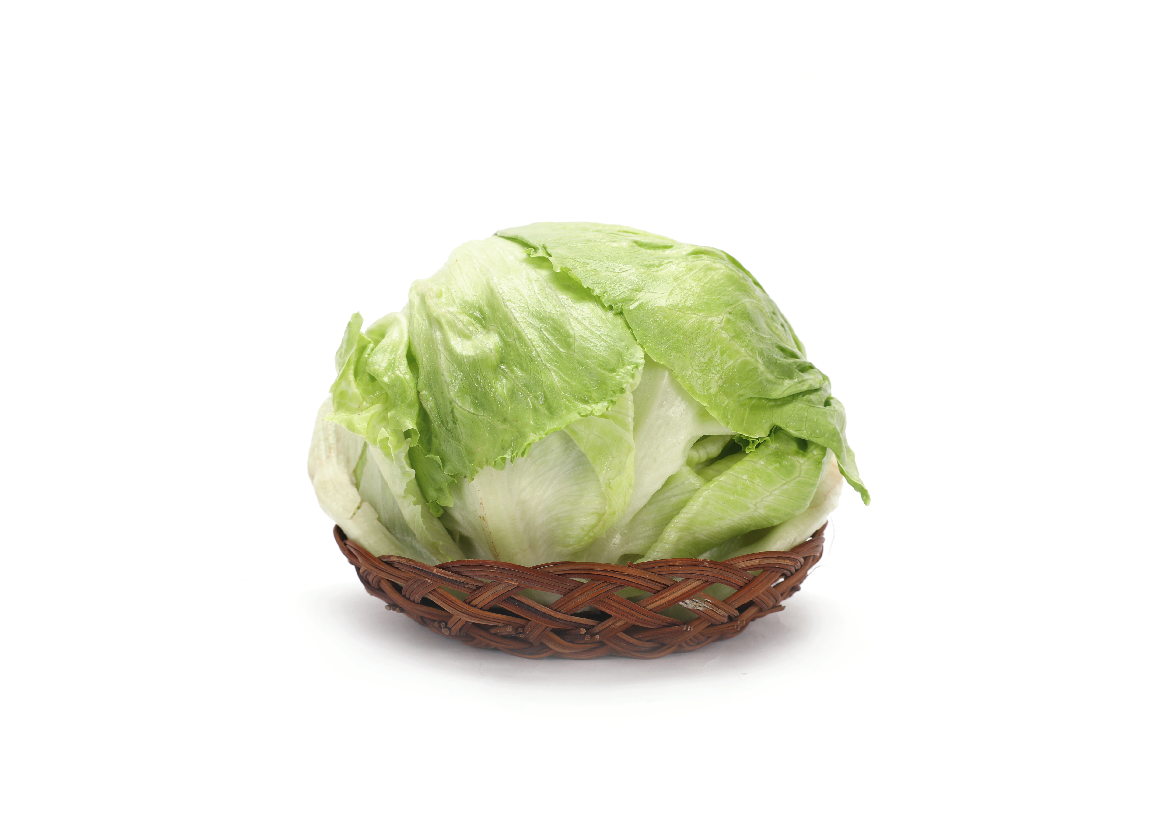 有機(jī)球生菜