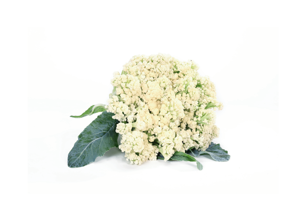 有機(jī)散白花