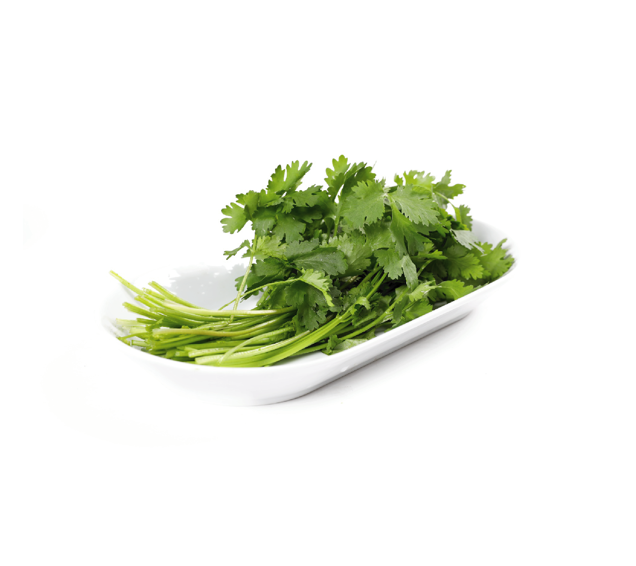 有機(jī)香菜