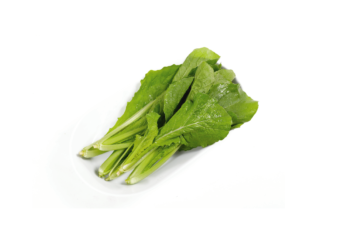 有機(jī)小白菜