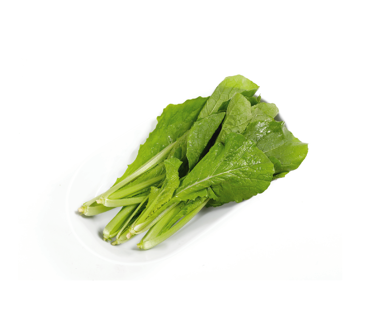 有機(jī)小白菜