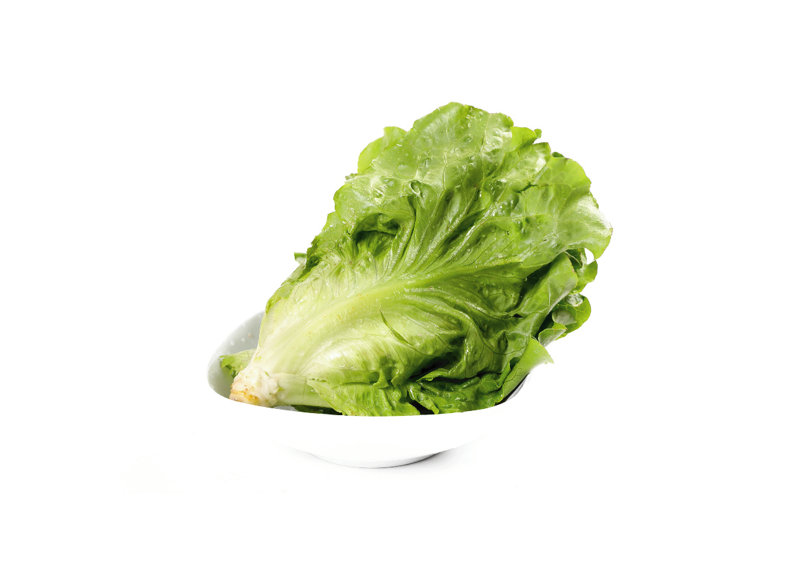 有機(jī)葉生菜