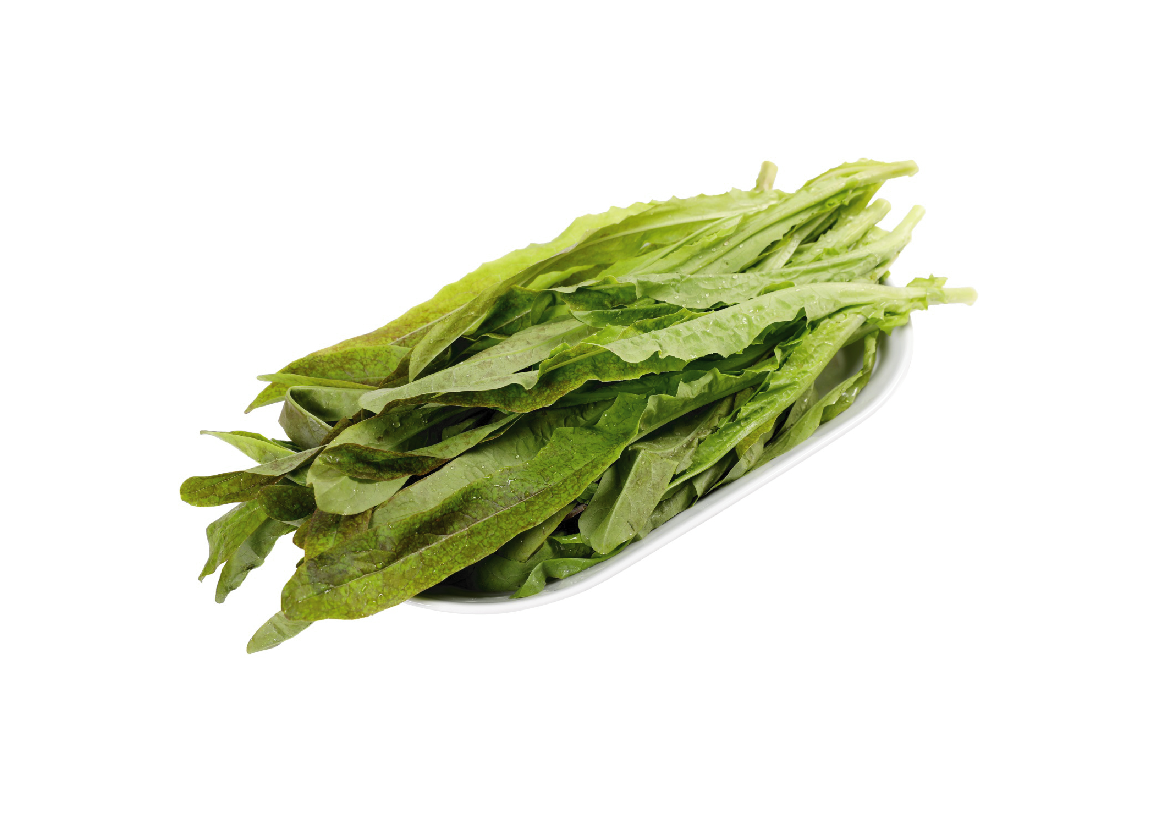 有機(jī)油麥菜