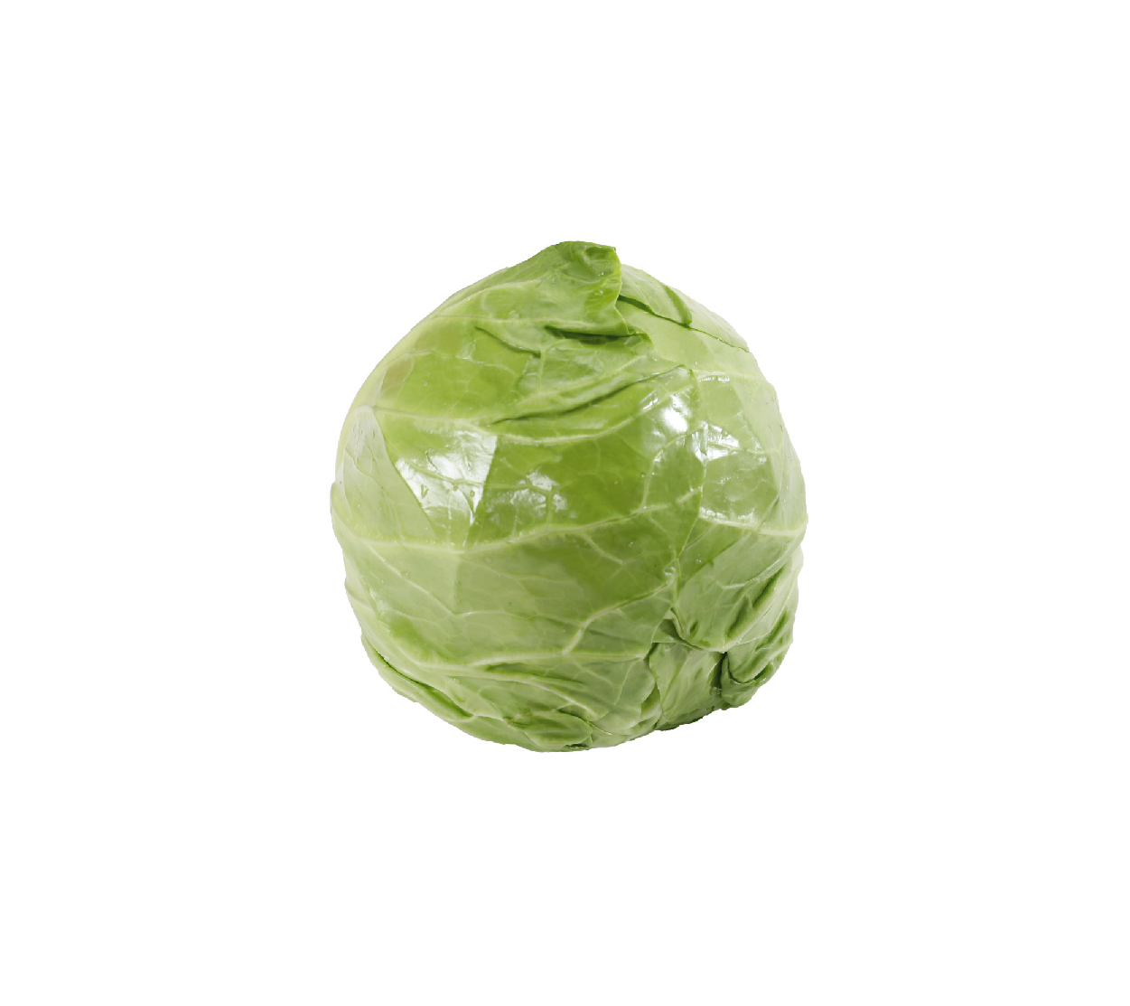 有機(jī)圓白菜
